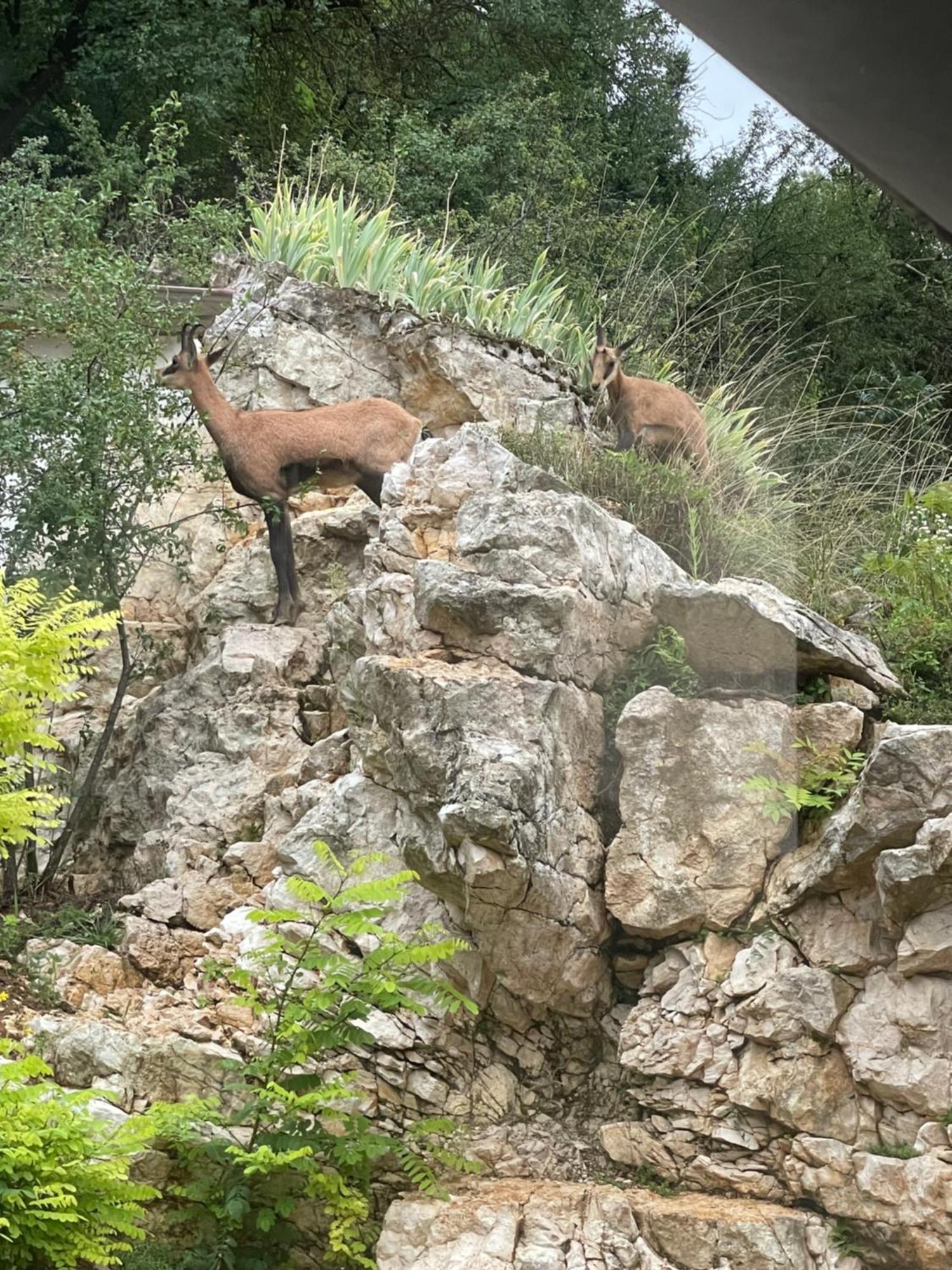 Maison Au Bord De L'Eau Les Roches Rochefort-sur-Nenon Ngoại thất bức ảnh